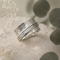 Silberner Ring mit feinen drehbaren Ringen
